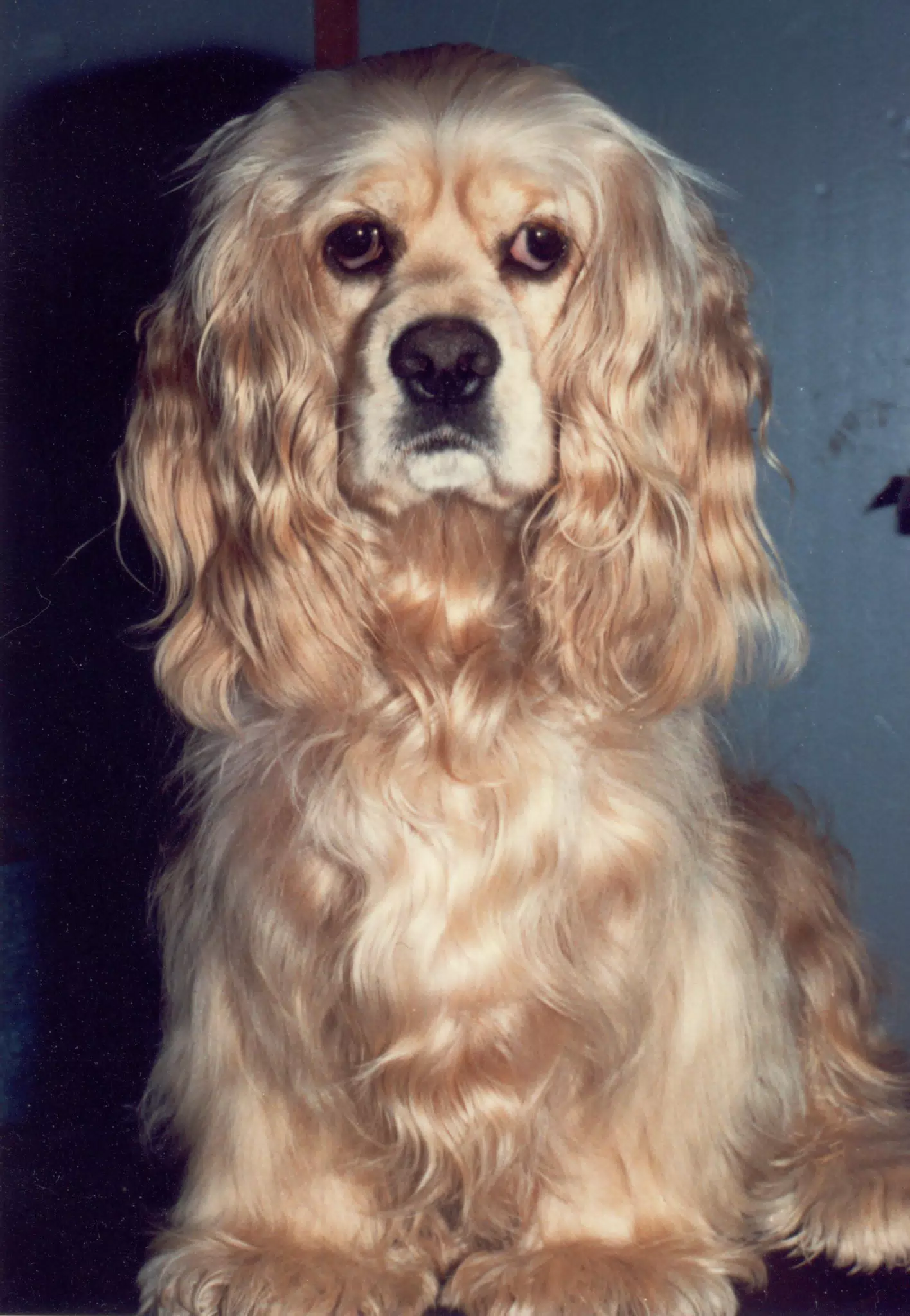 MiscScans 276