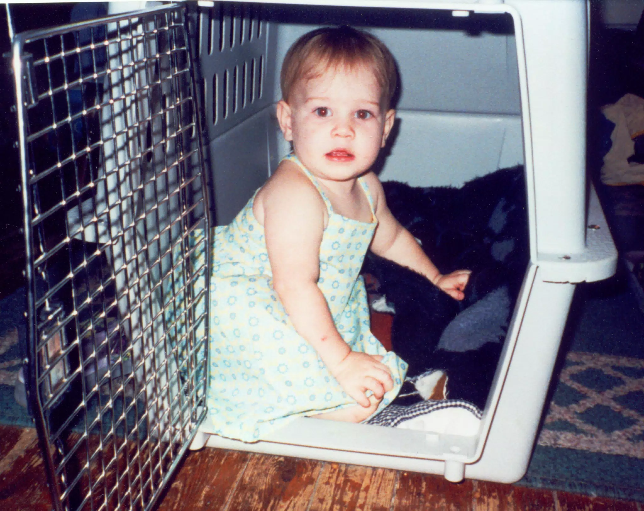MiscScans 329