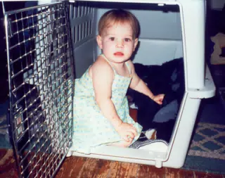 MiscScans 329