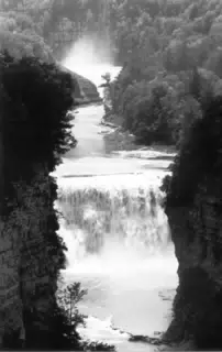 MiscScans 341