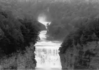 MiscScans 342