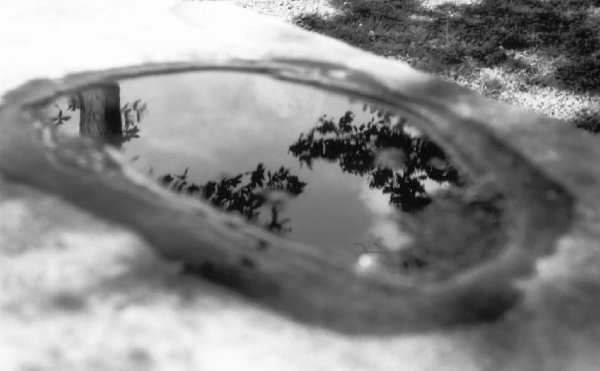 Puddle on Table in Letchworth