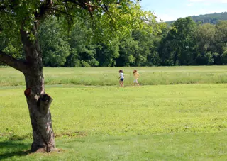 Walking in the Summer Field