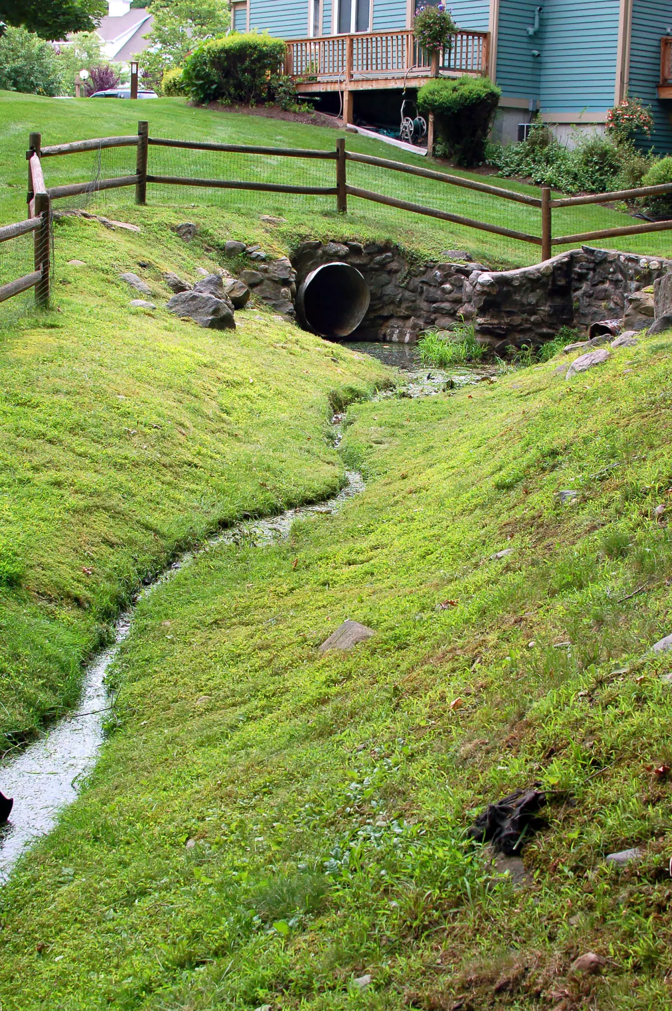Stream and Culvert