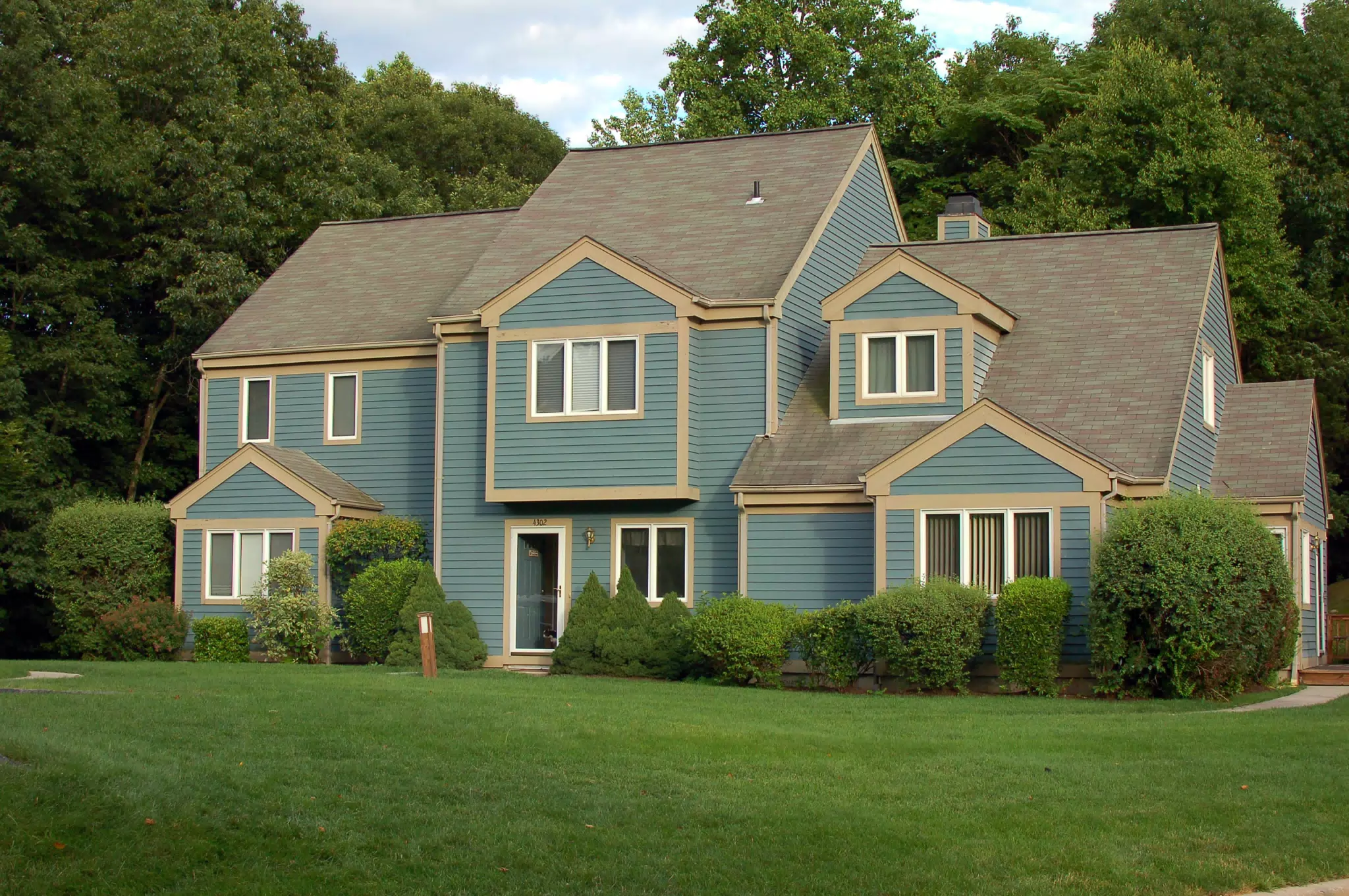 House with Dog