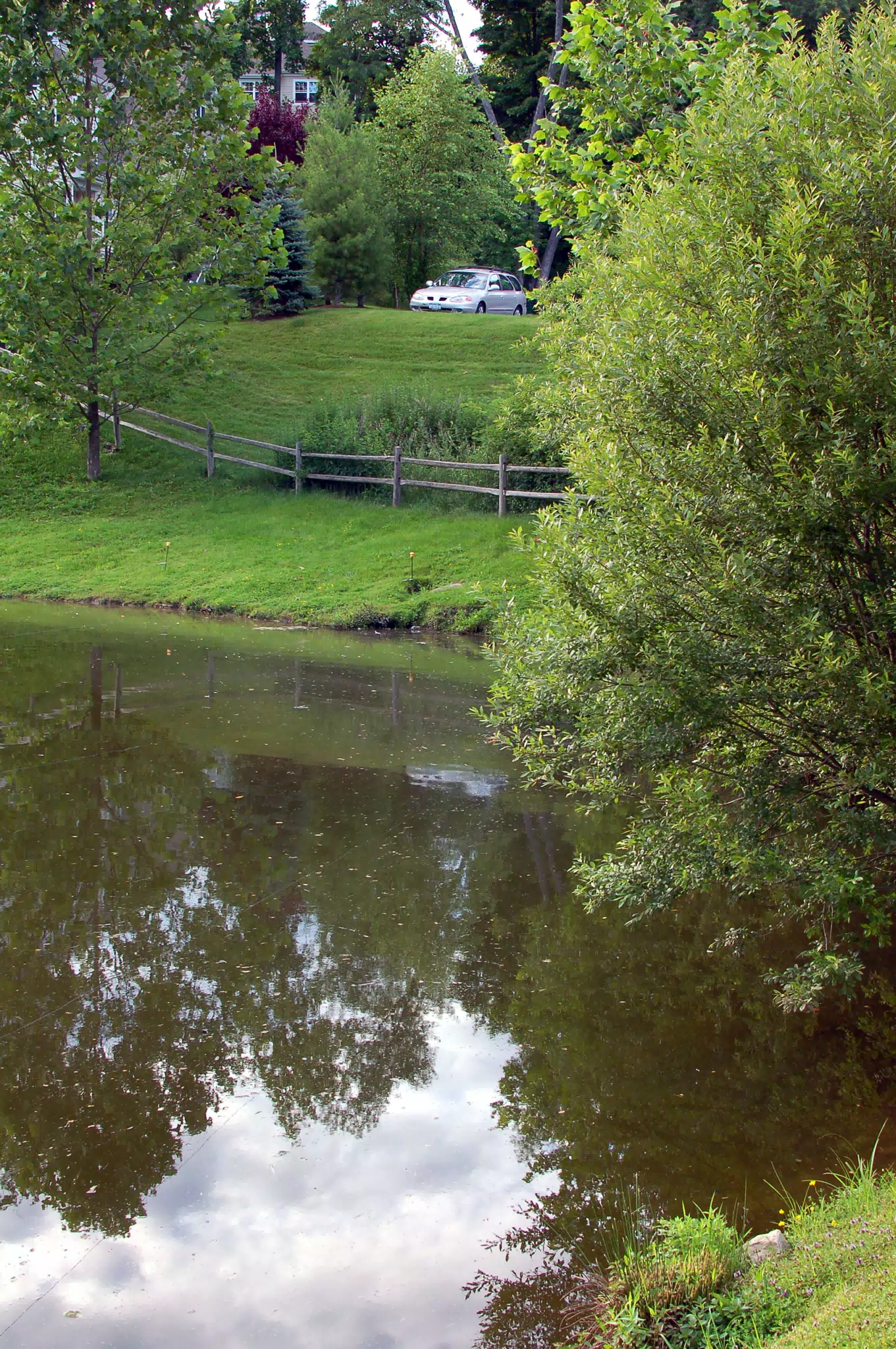 Parking Lot Across Pond