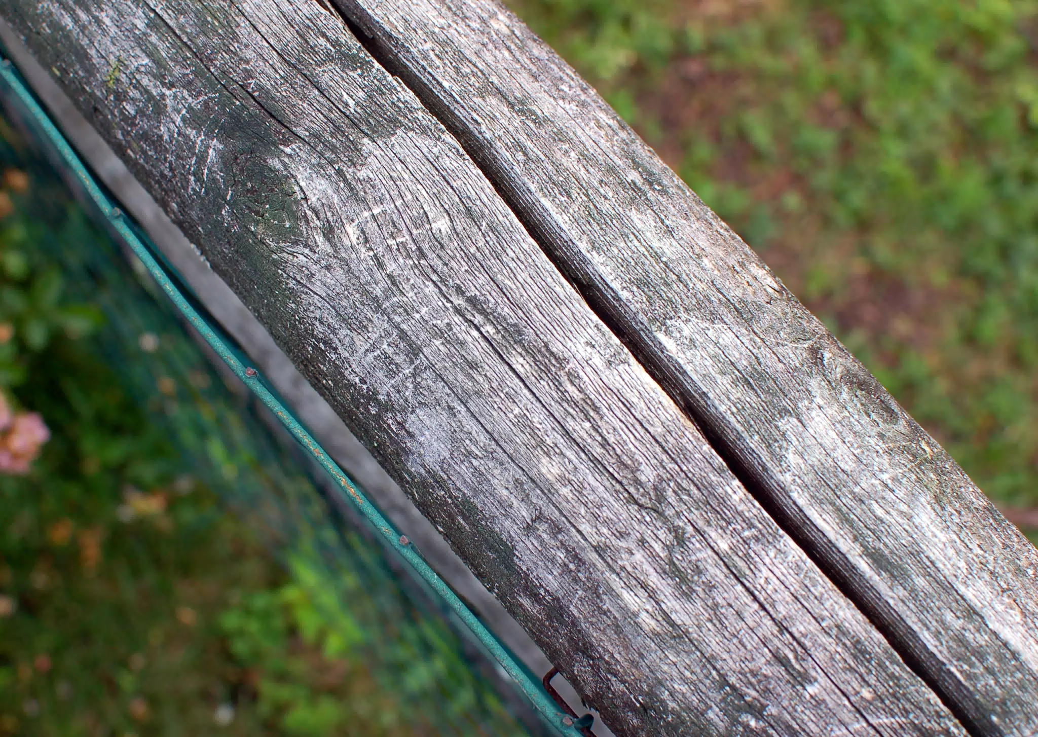 Fence Detail