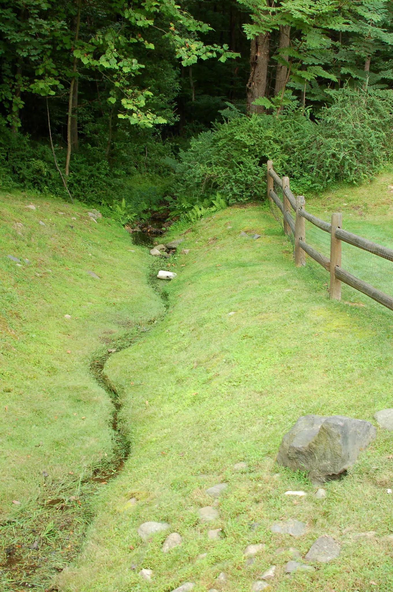 Stream in Yard