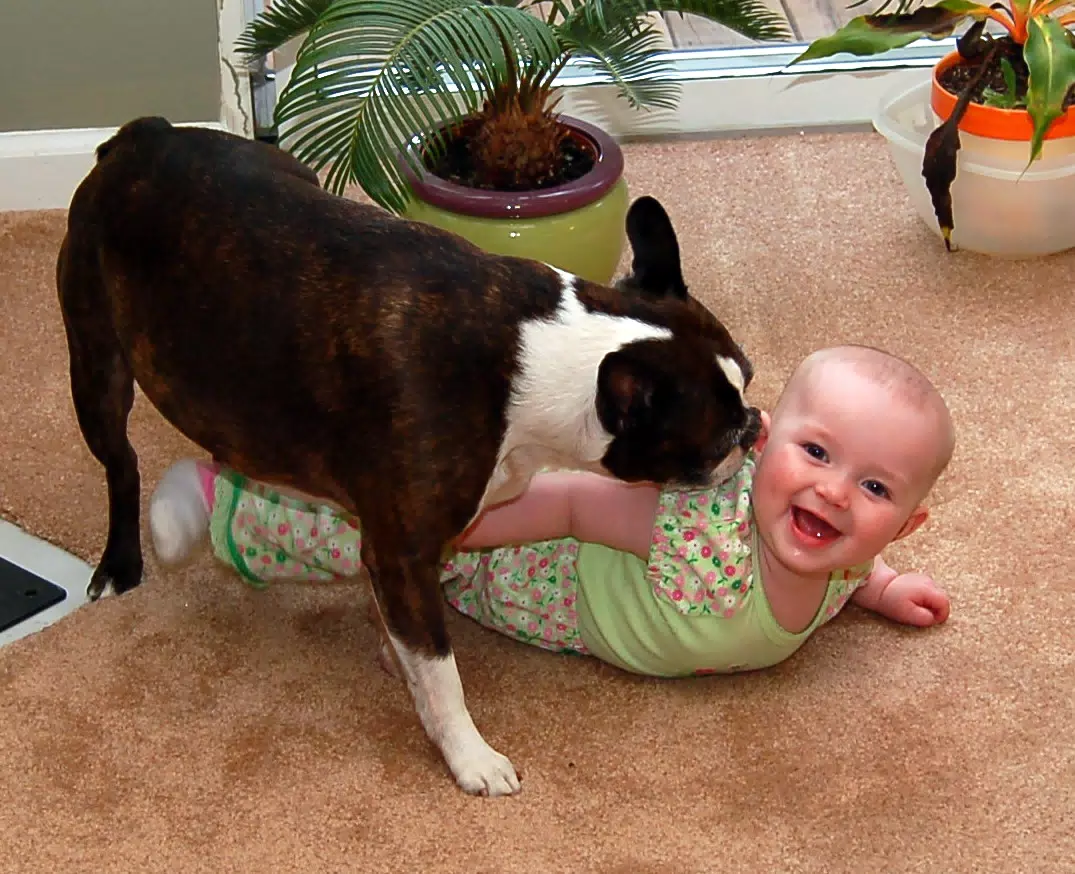 Dexter Loves Liesl