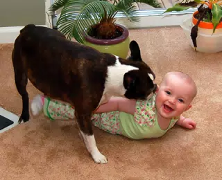 Dexter Loves Liesl