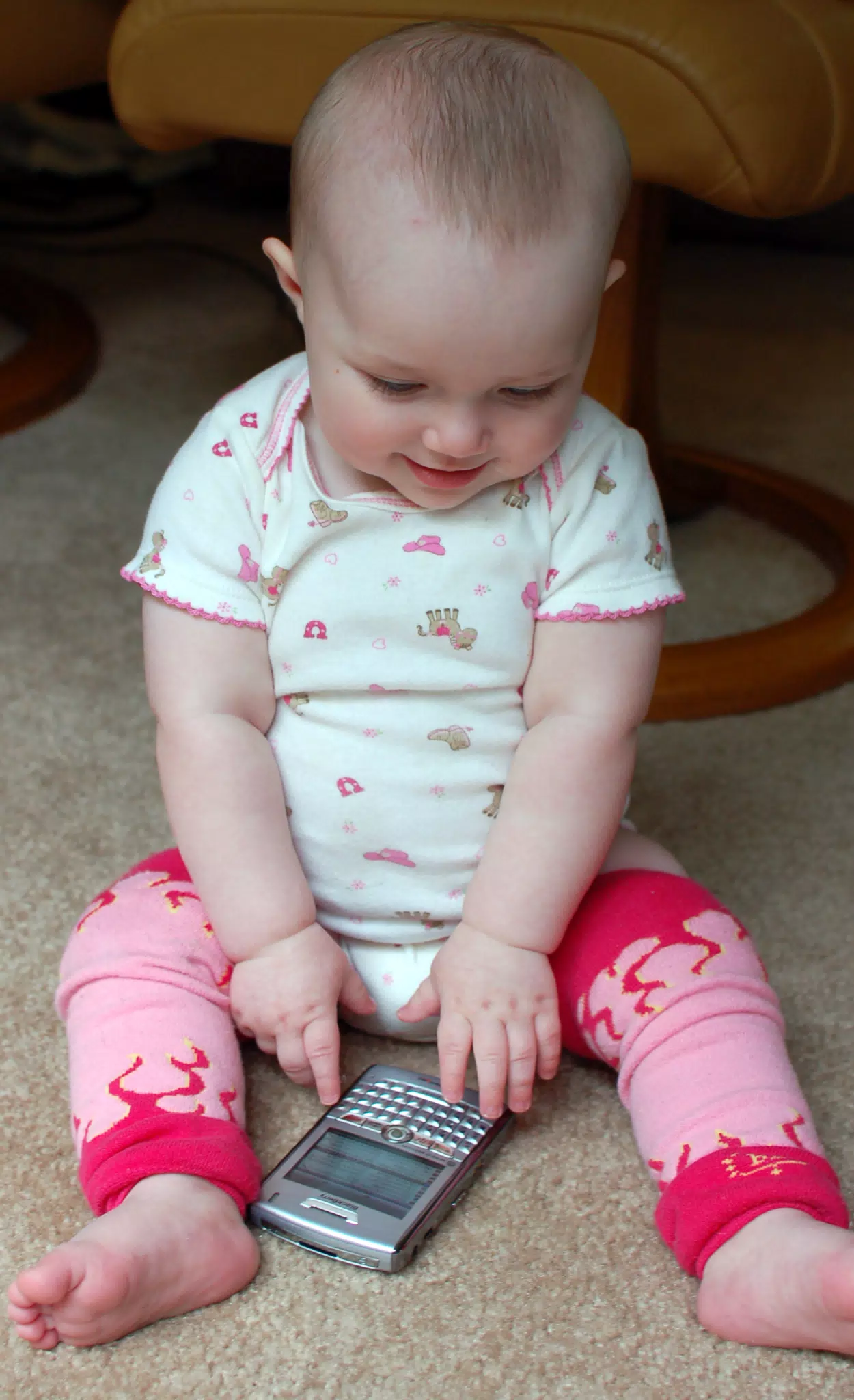 Liesl Looking at BlackBerry
