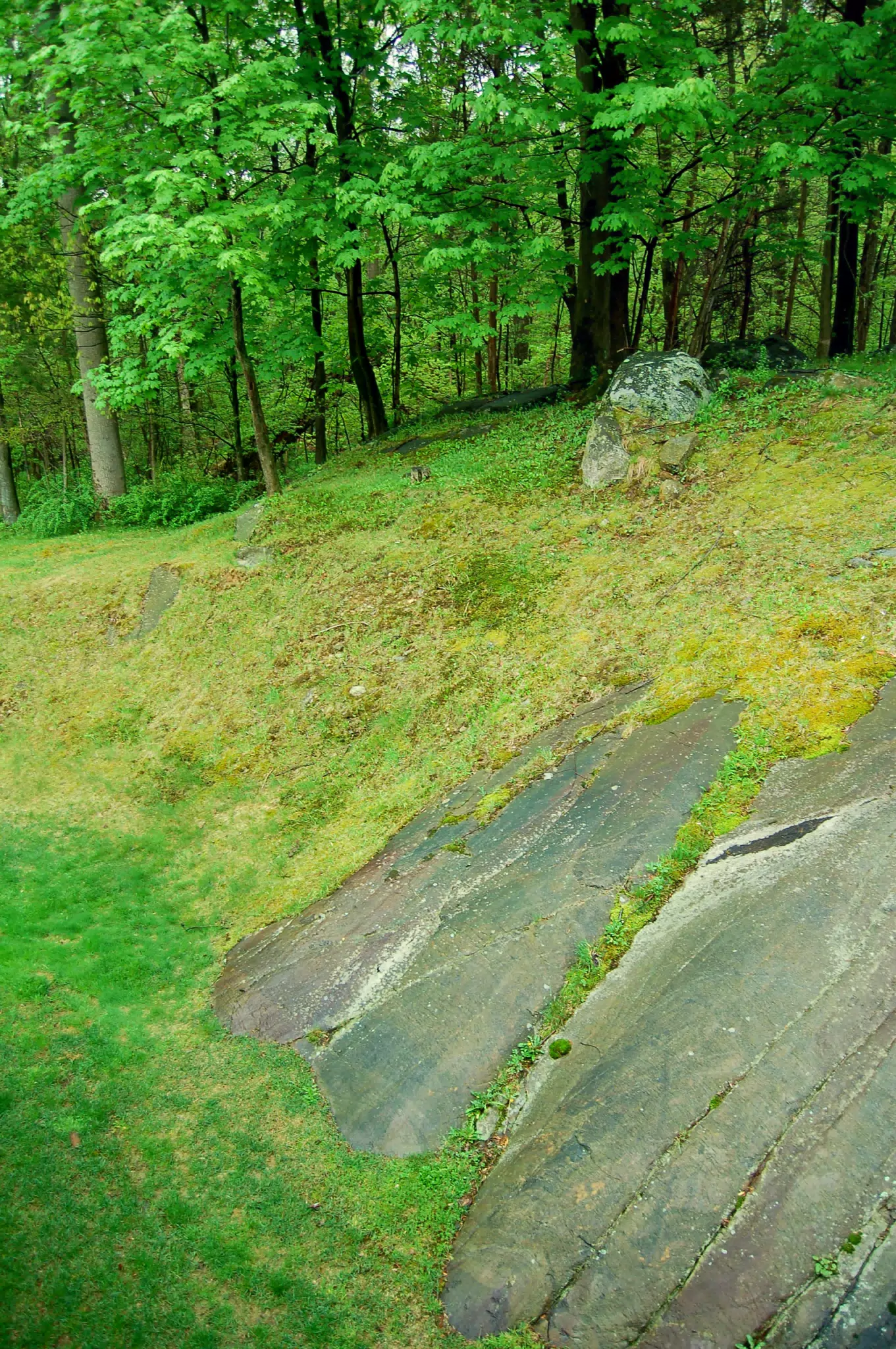 Rock in Our Backyard