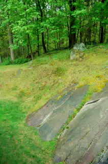 Rock in Our Backyard