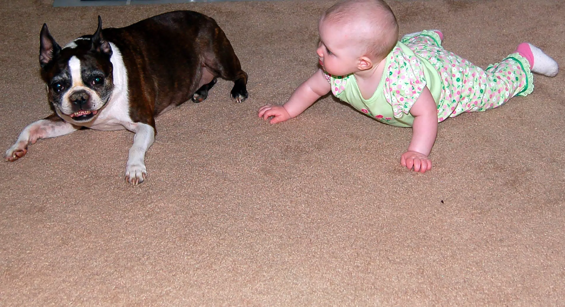 Liesl Chasing Dexter
