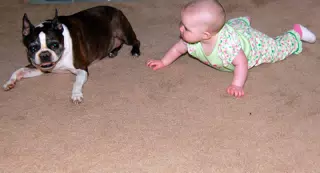 Liesl Chasing Dexter