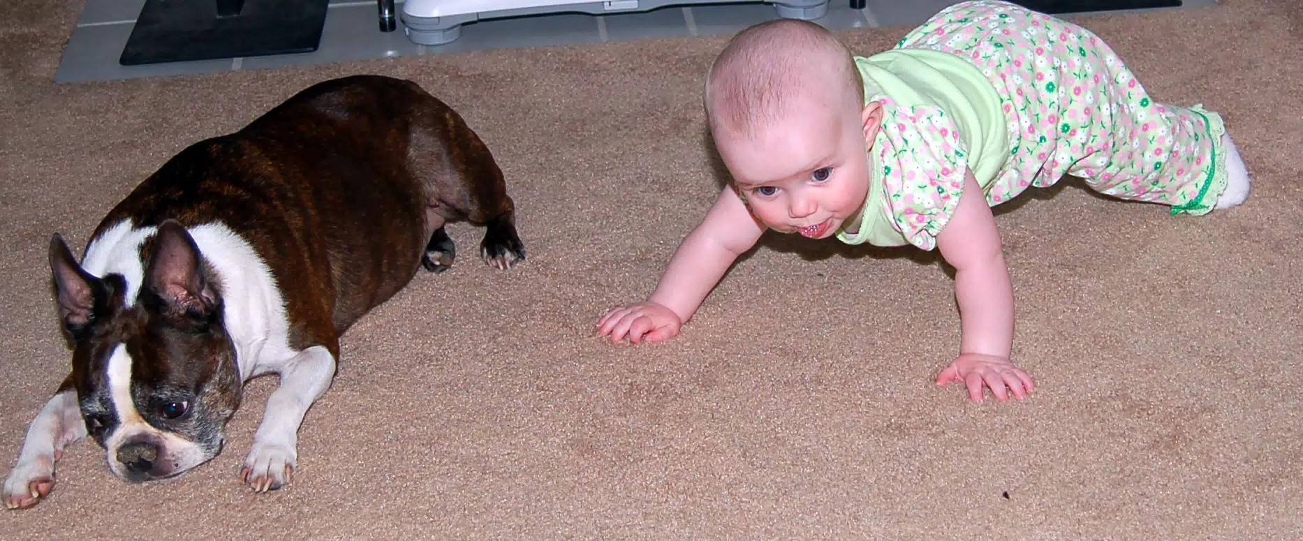 Dexter and Liesl Doing Pushups