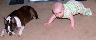 Dexter and Liesl Doing Pushups