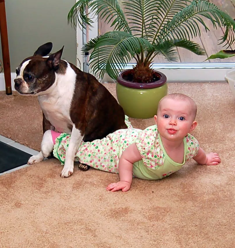 Dexter Sitting on Liesl