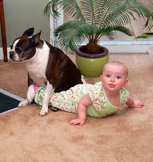 Dexter Sitting on Liesl