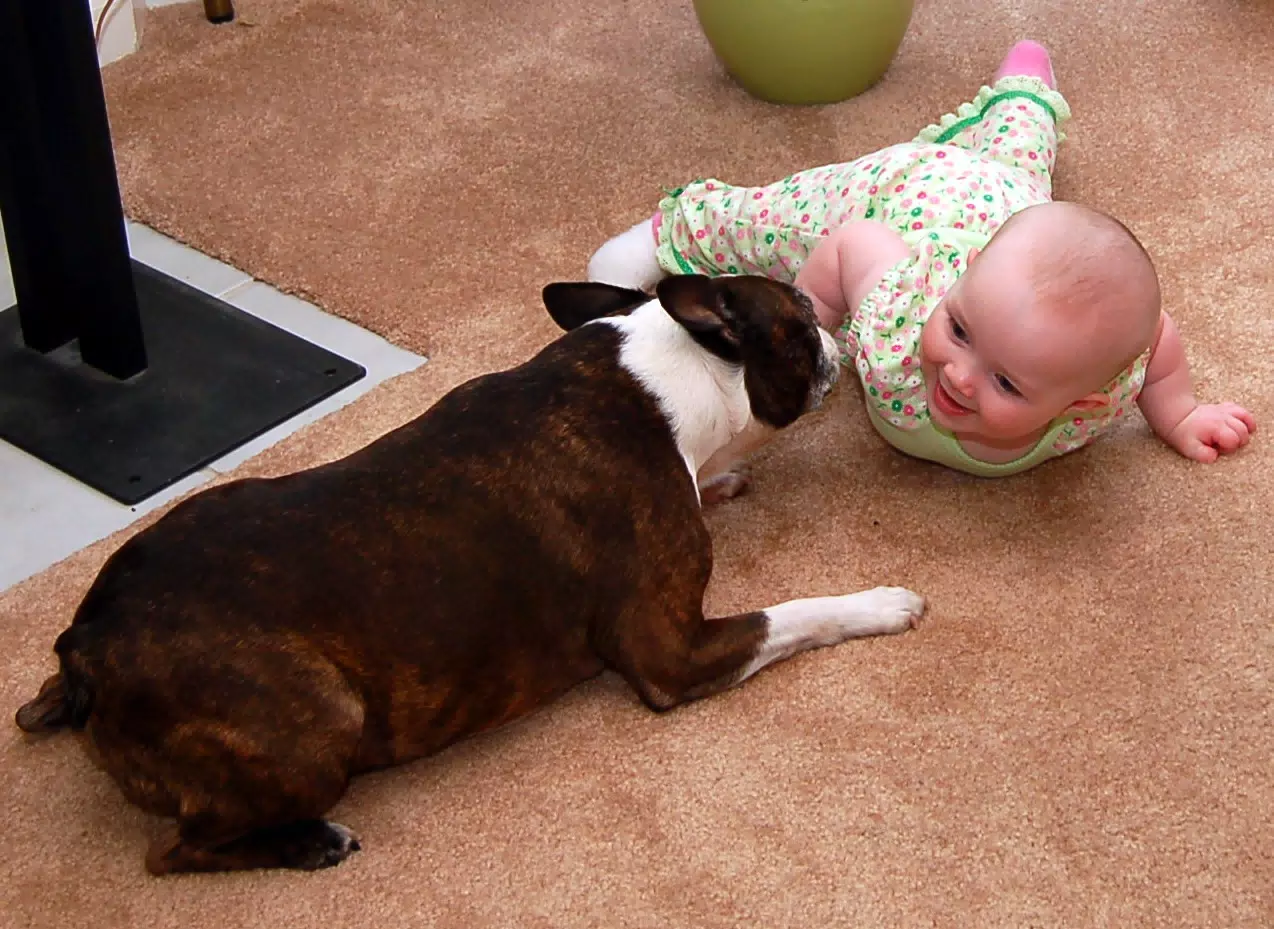 Dexter and Liesl are Friends