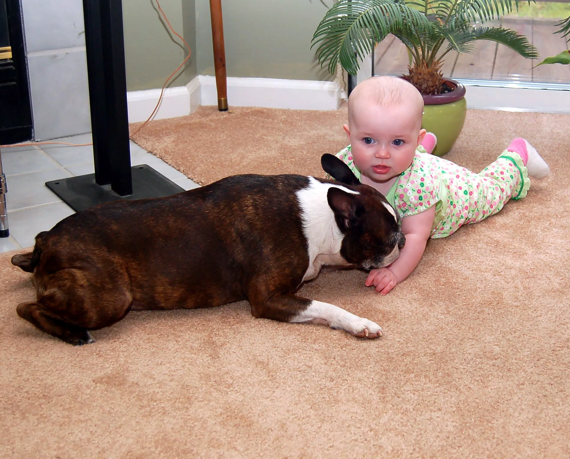 Dexter and Liesl Hanging Out