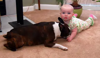 Dexter Licking Liesls Hand