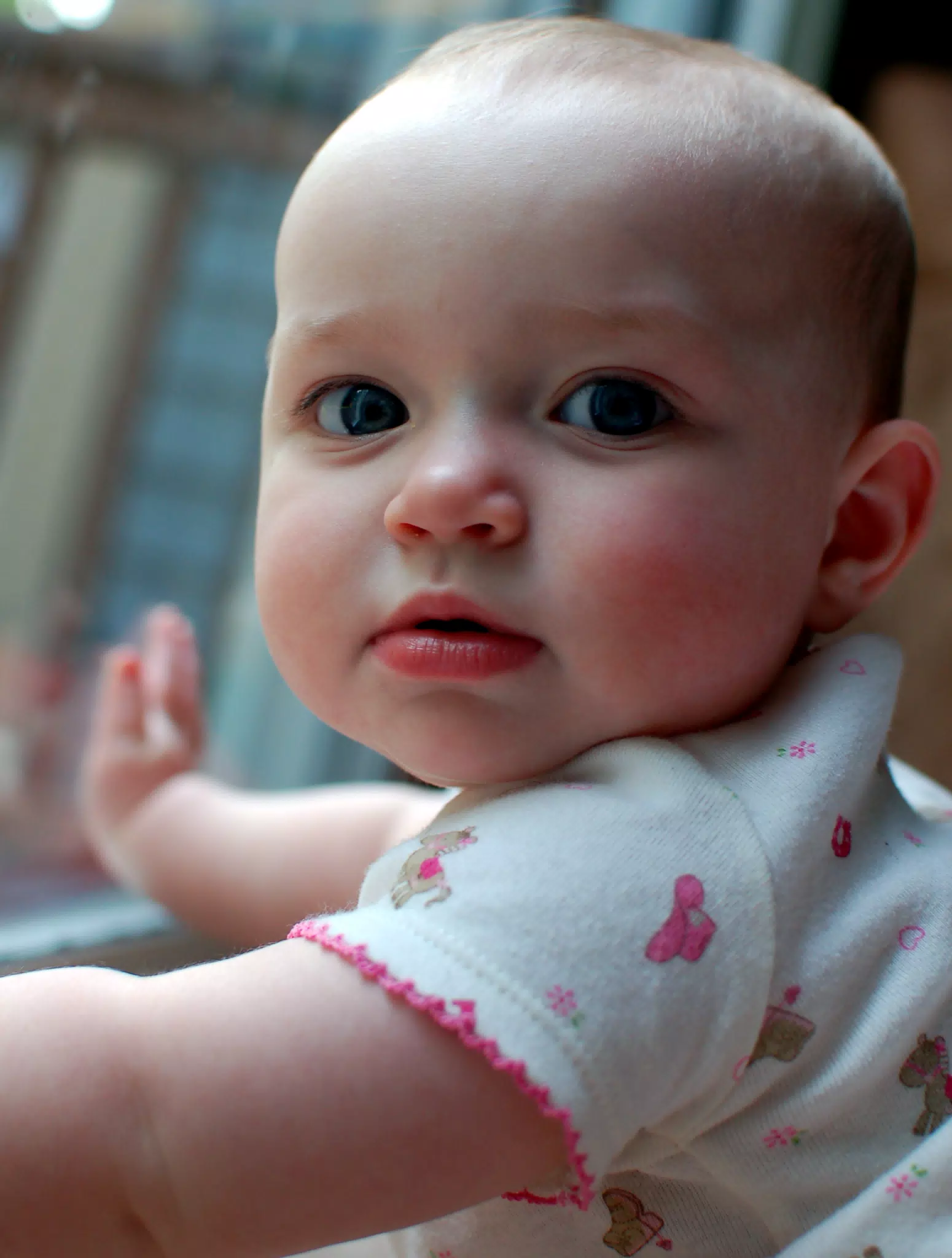 Liesl By Window