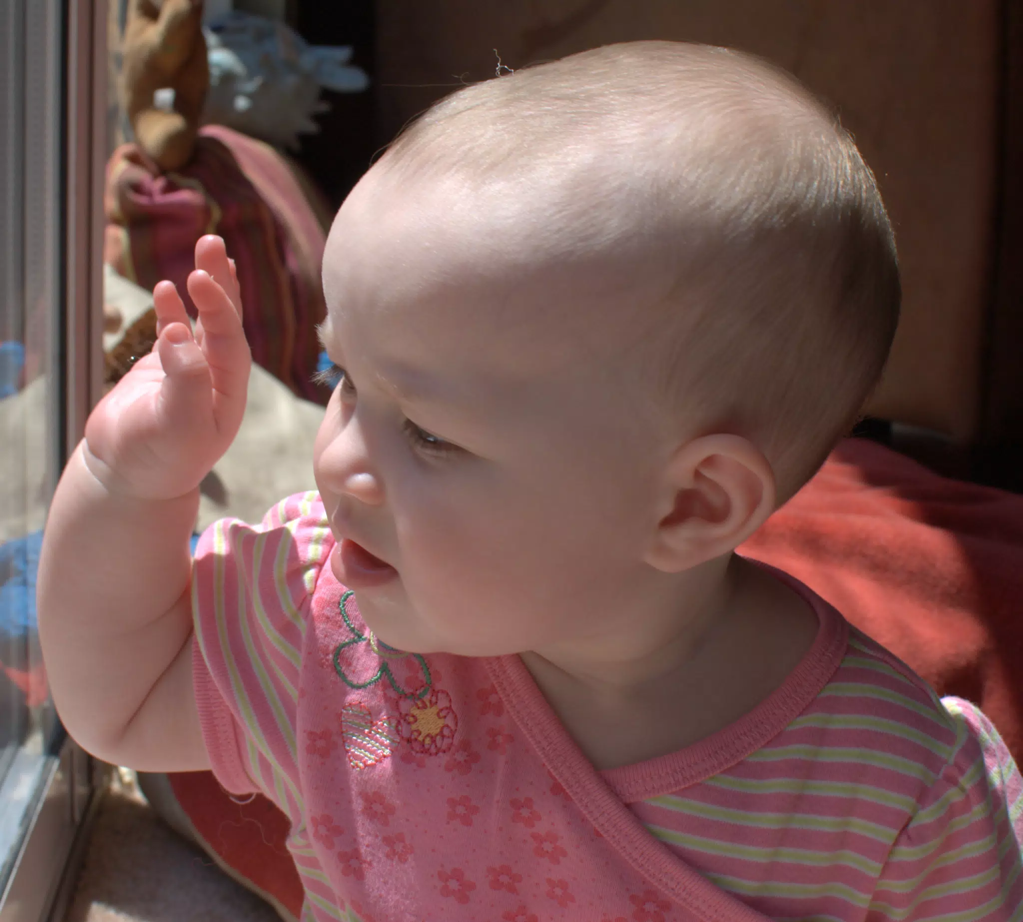 Liesl with Sun in Her Eyes
