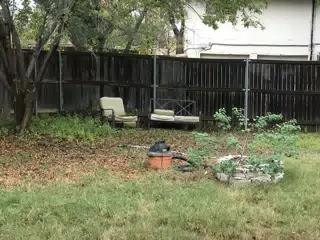 What We Found in Our Backyard
