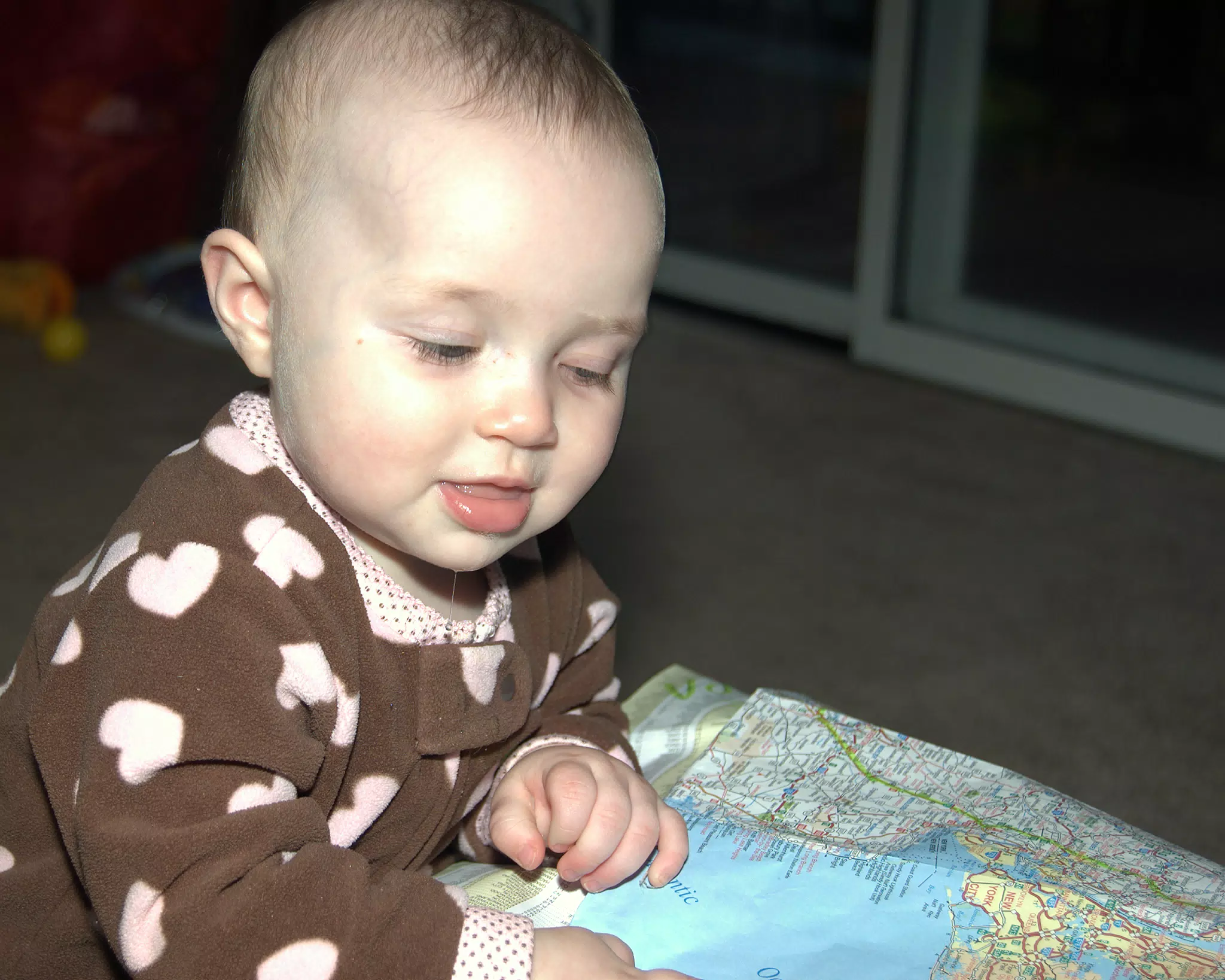 Liesl the Future Navigator