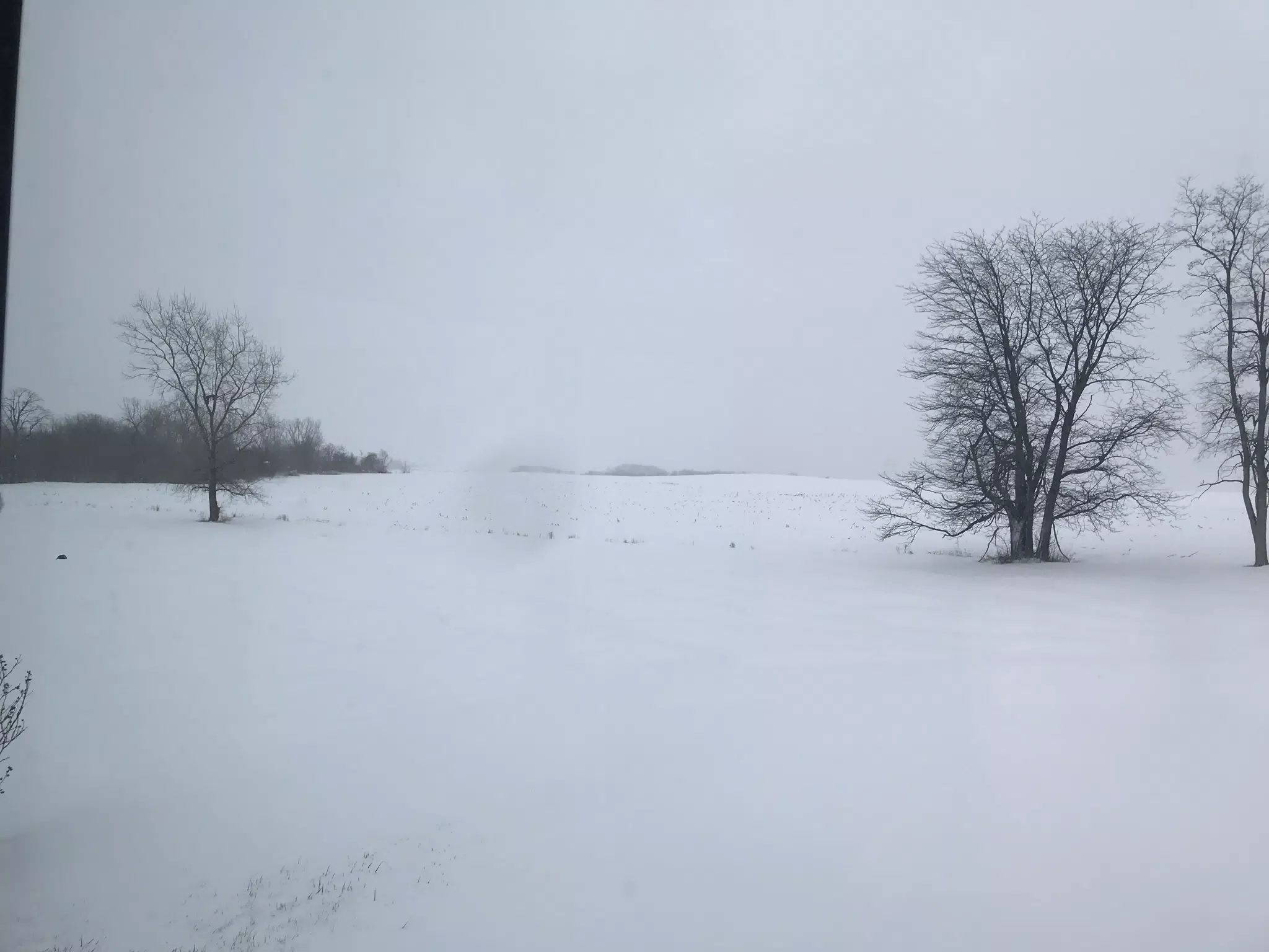 Winter in NY