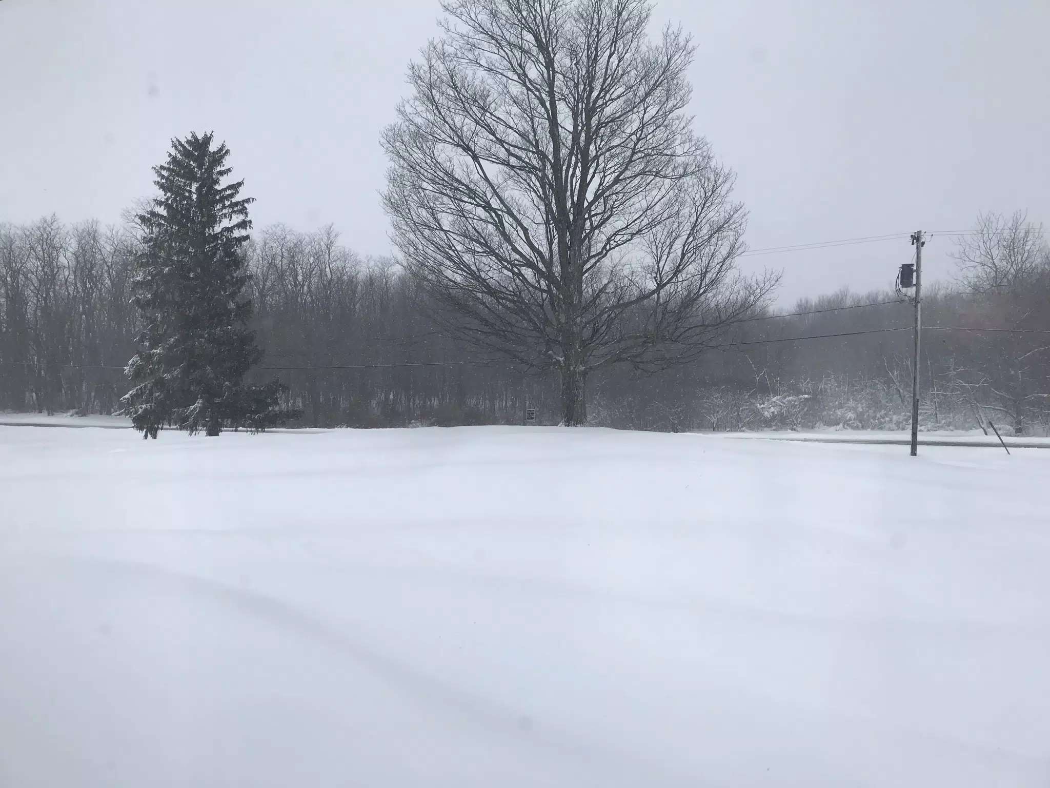 Winter in NY