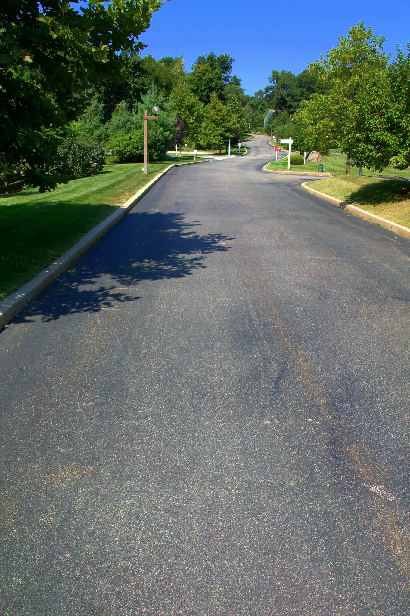 Nikon GPS Test Pic