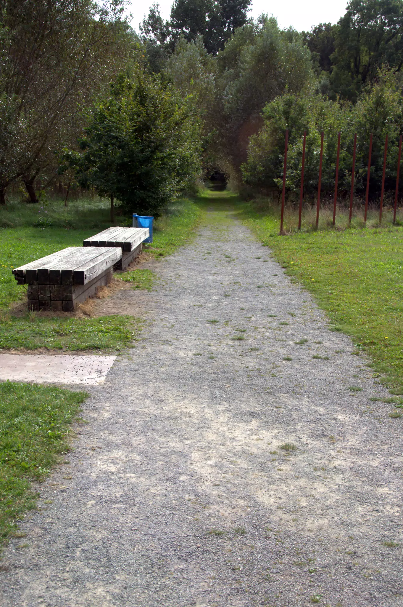 Path Into the Teutoburger Wald