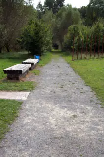 Path Into the Teutoburger Wald