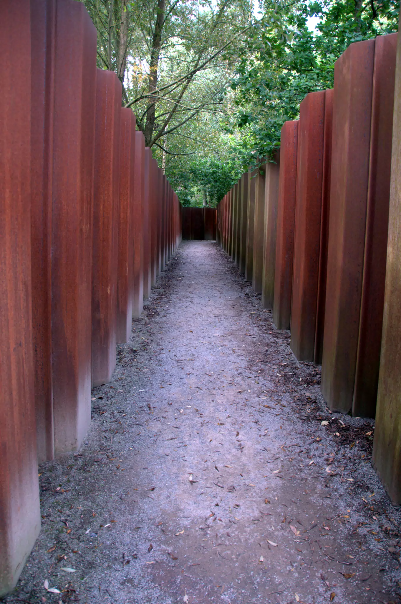 In the Trench