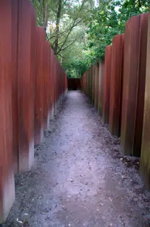 In the Trench