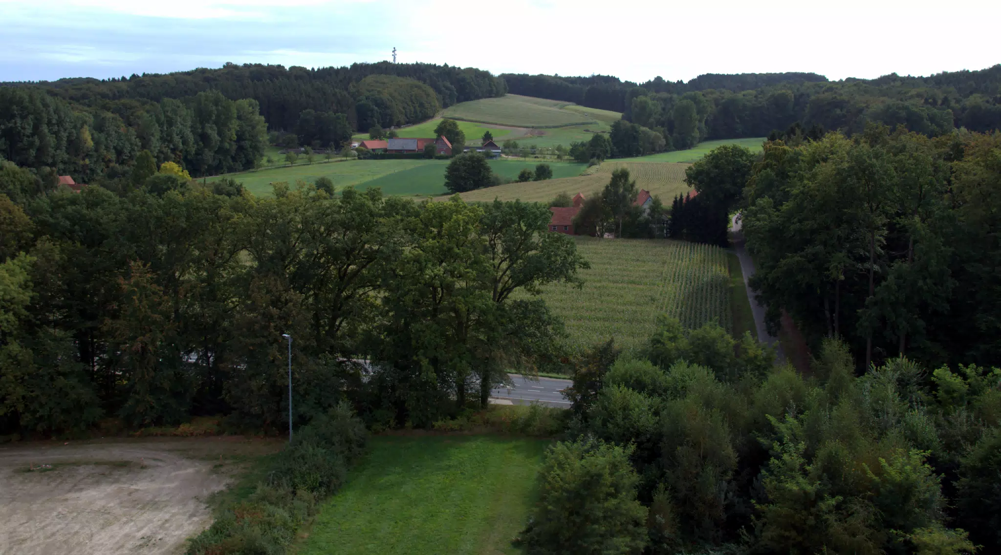 View from Museum Tower