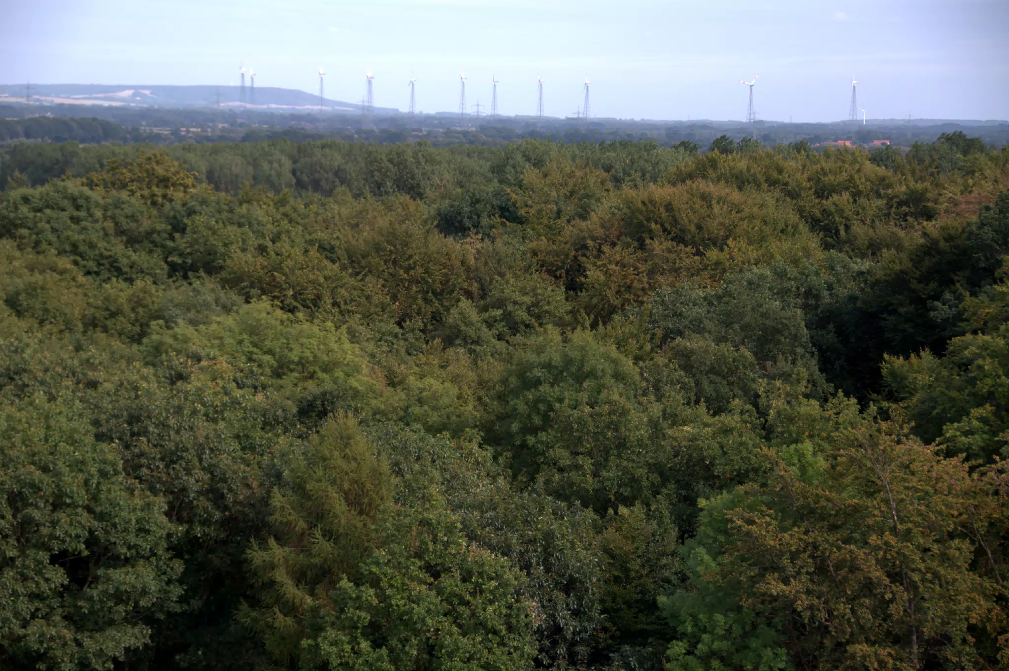 First Windmills from Tower