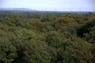 First Windmills from Tower