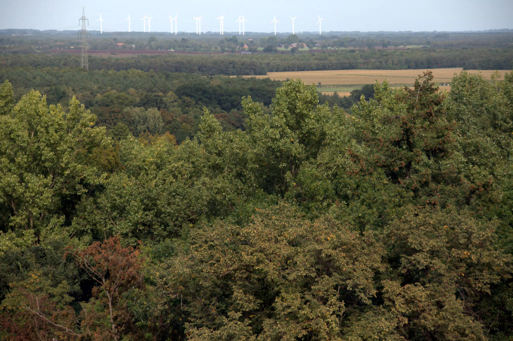 Second Set of Windmills from Tower
