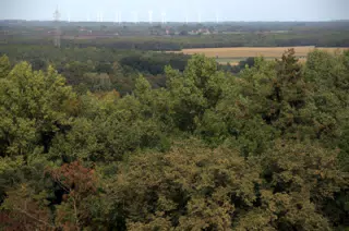 Second Set of Windmills from Tower