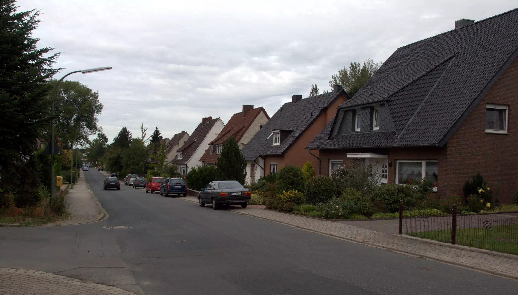 Same Street on my Morning Walk