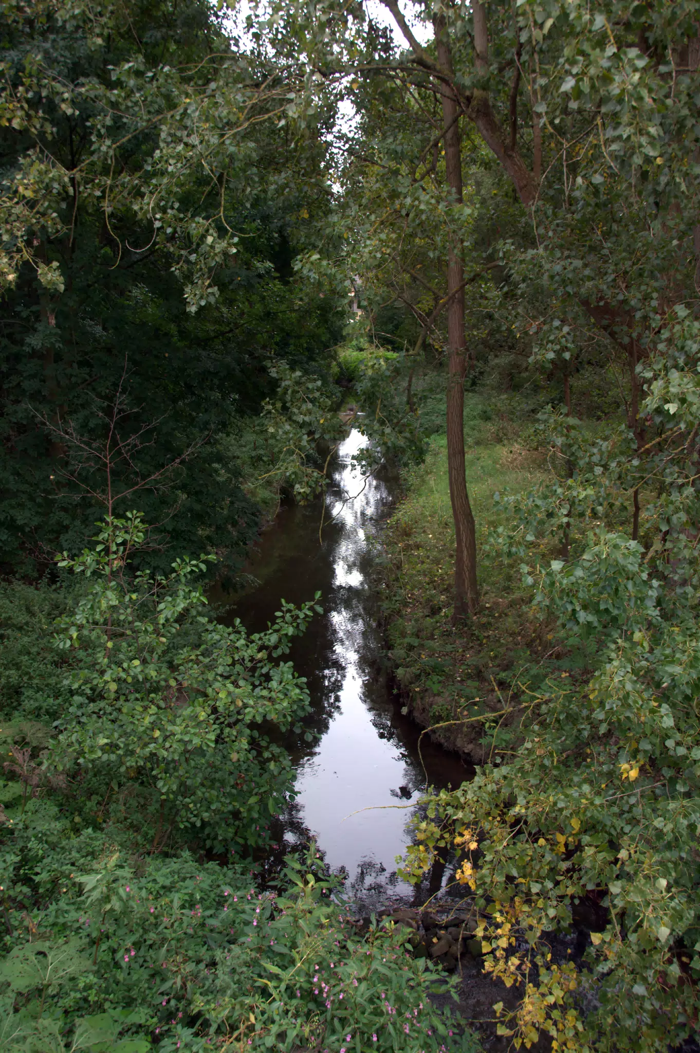 Stream Near Where I Got Stranded