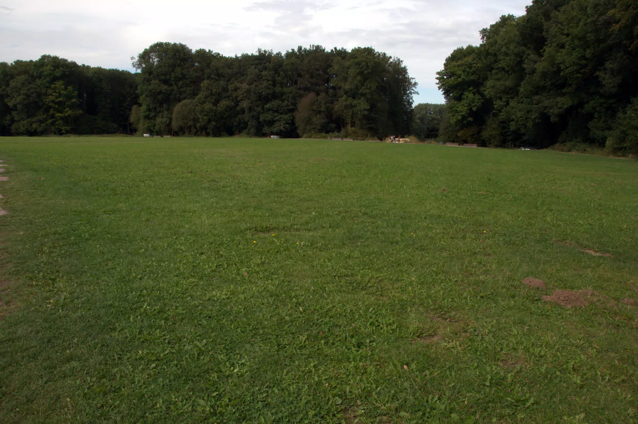 Open Battlefield at Kalkriese