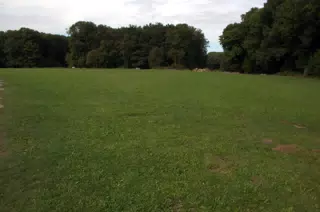 Open Battlefield at Kalkriese