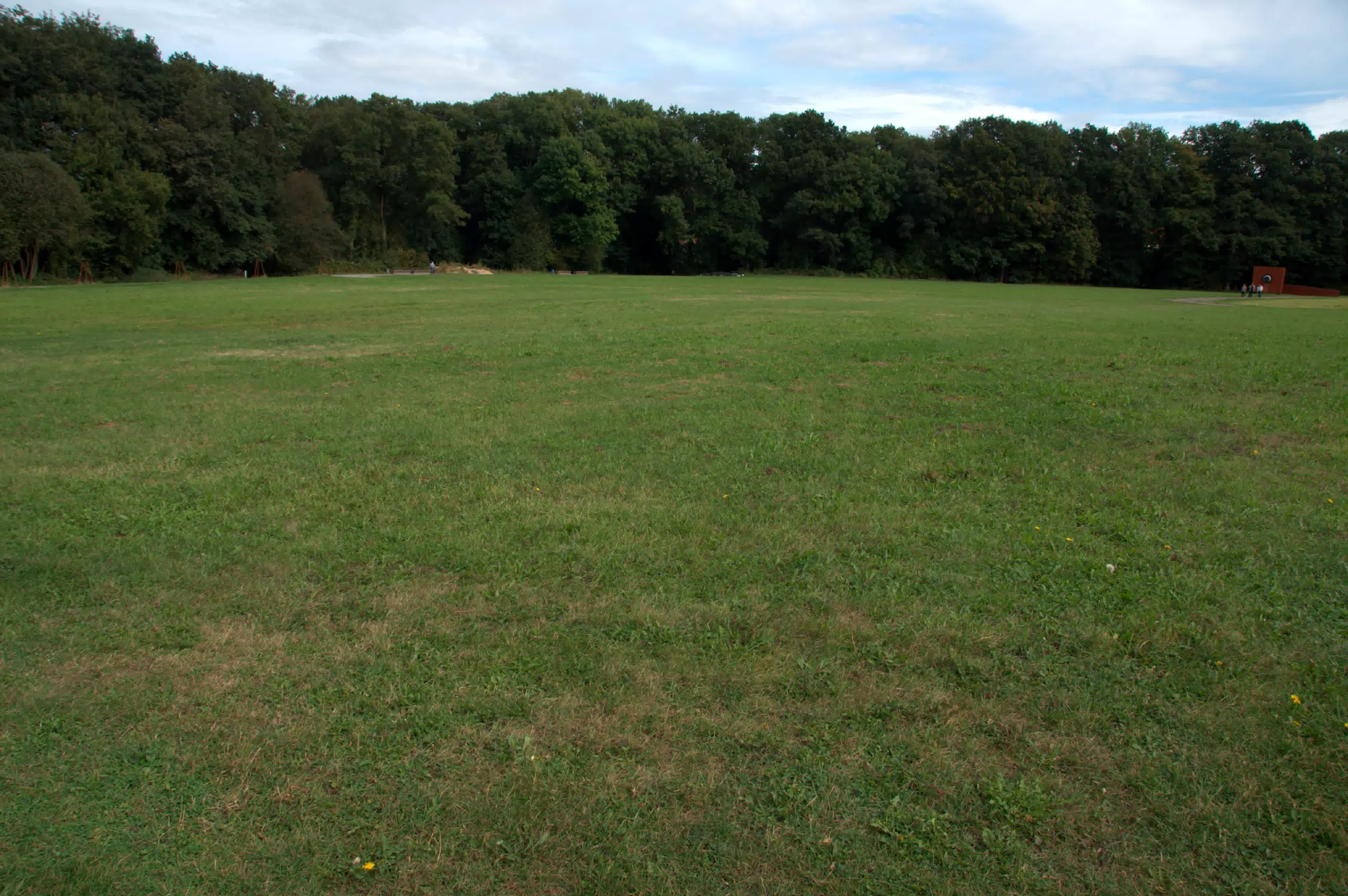 Open Battlefield from Excavation Site