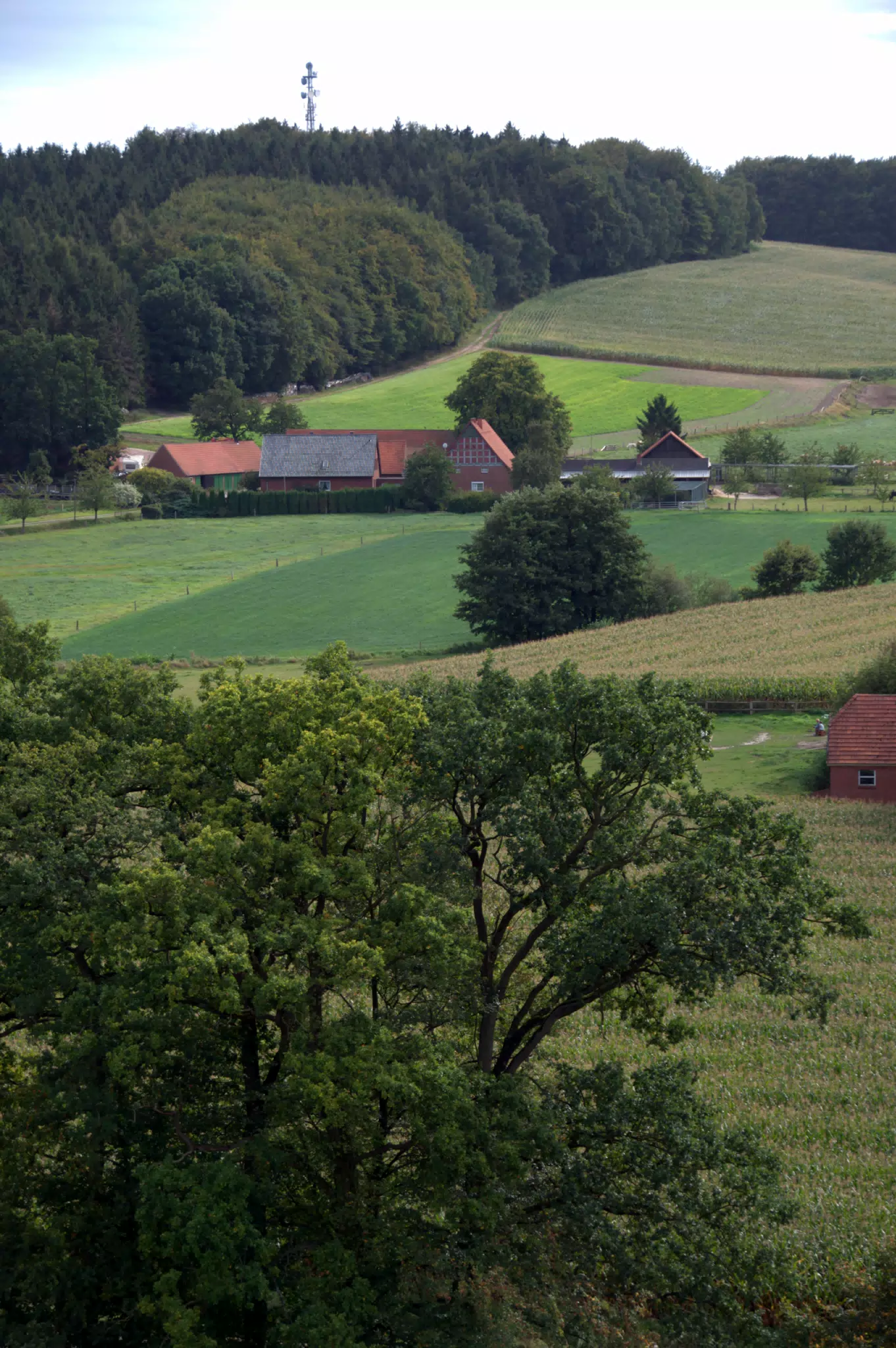 View of Farm from Tower