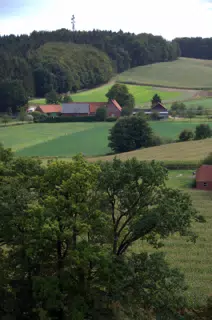 View of Farm from Tower