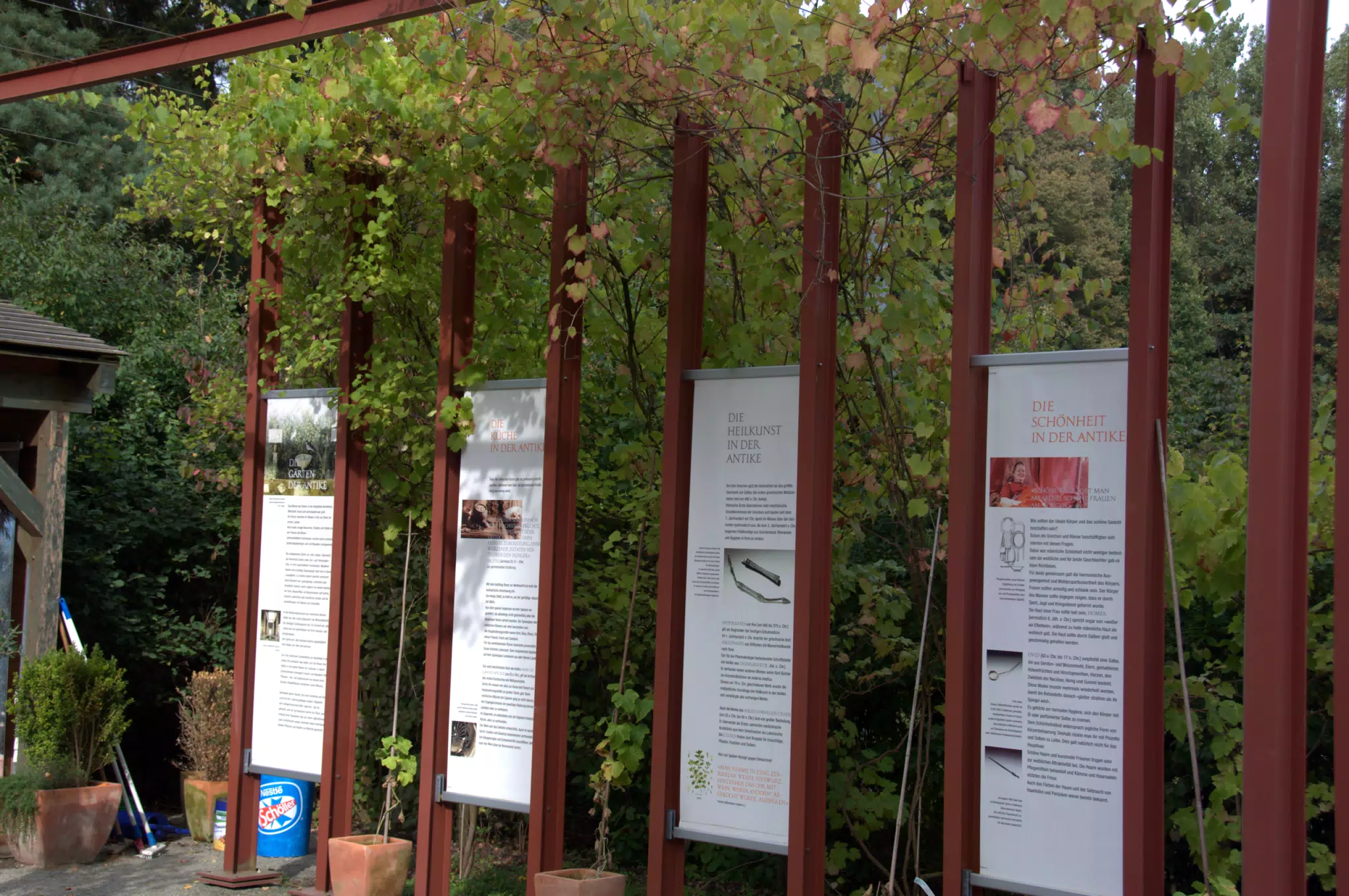 Garden Display